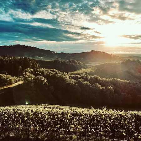 Ferienapartment Huber * Oberkirch (Baden)