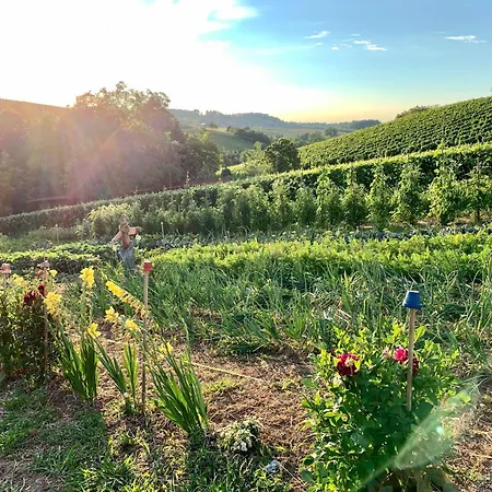 Apartamento Ferienapartment Huber *